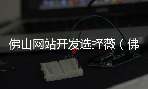 佛山网站开发选择薇（佛山网站建设推荐）